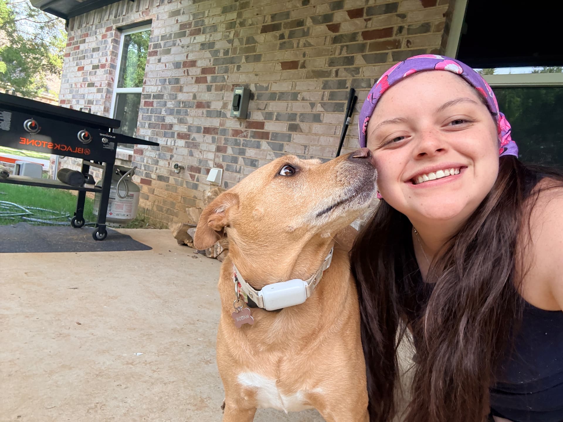 Cassidy getting a kiss from a golden mixed-breed dog